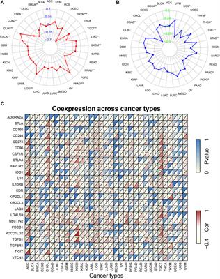 KCNN4 is a Potential Biomarker for Predicting Cancer Prognosis and an Essential Molecule that Remodels Various Components in the Tumor Microenvironment: A Pan-Cancer Study